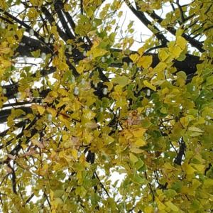 Meet your Posher, Margaret